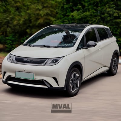 BYD Dolphin vs GWM Ora 03