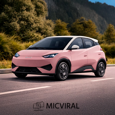 Carros elétricos PcD