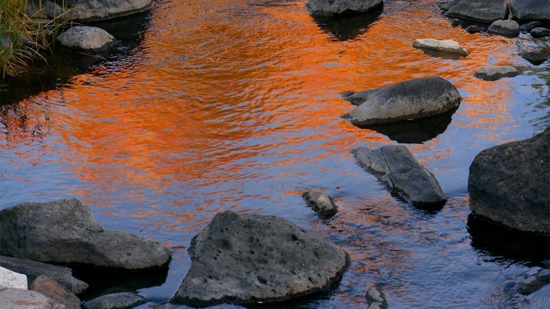 Federally unprotected streams contribute most of the water to US rivers