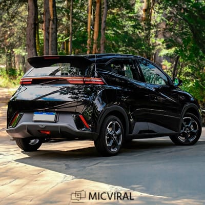 Leapmotor T03 vs BYD Dolphin Mini