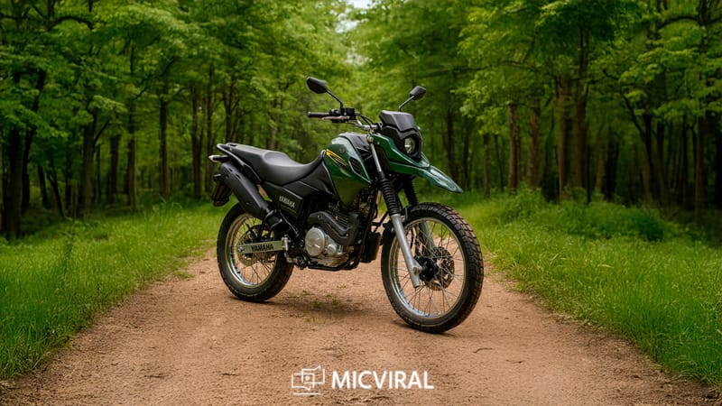 Melhores motos trail em 2025: equilíbrio entre aventura e praticidade